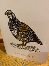 Load image into Gallery viewer, 8 Christmas bird cards