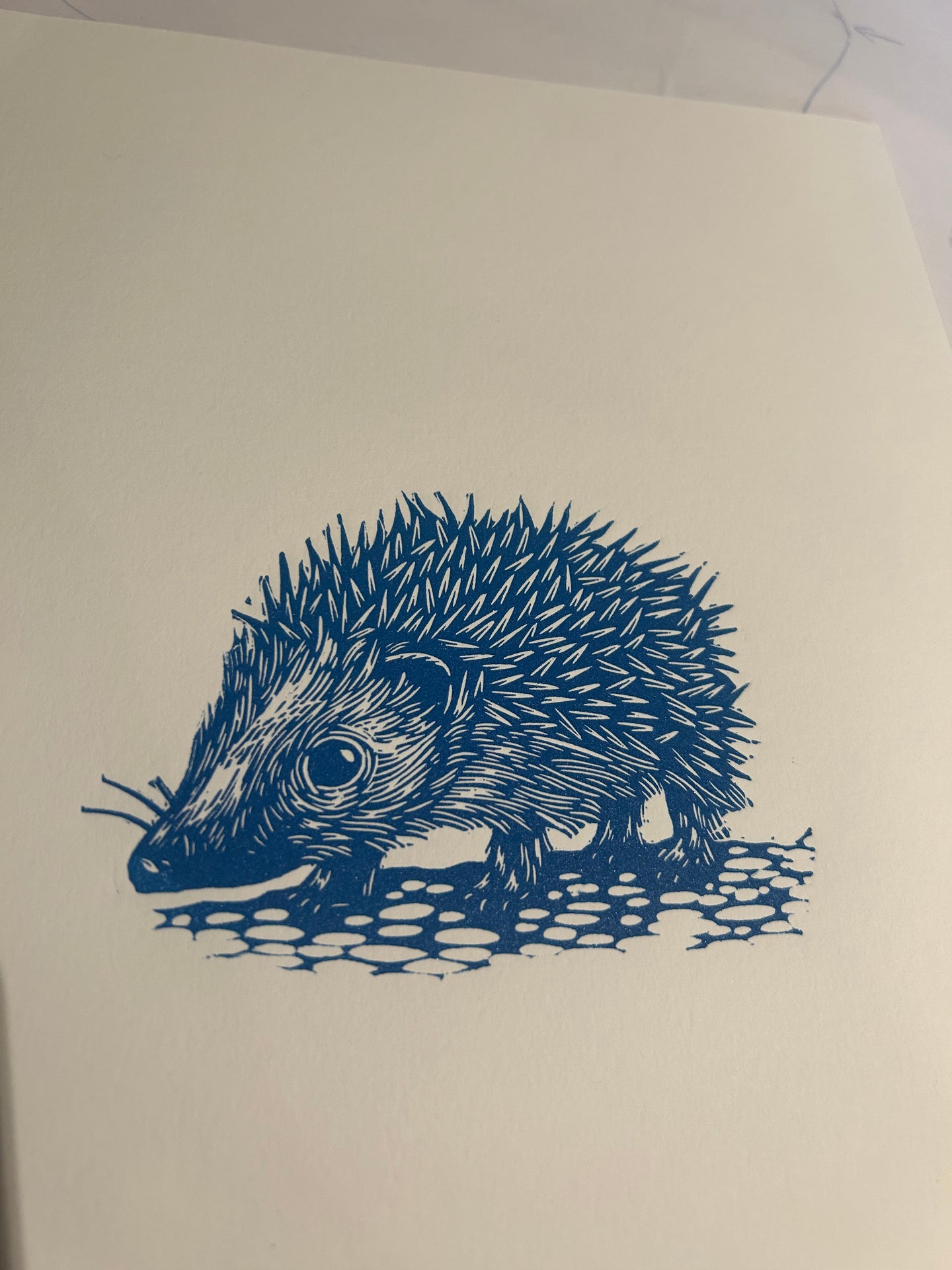 Hedgehog linocut